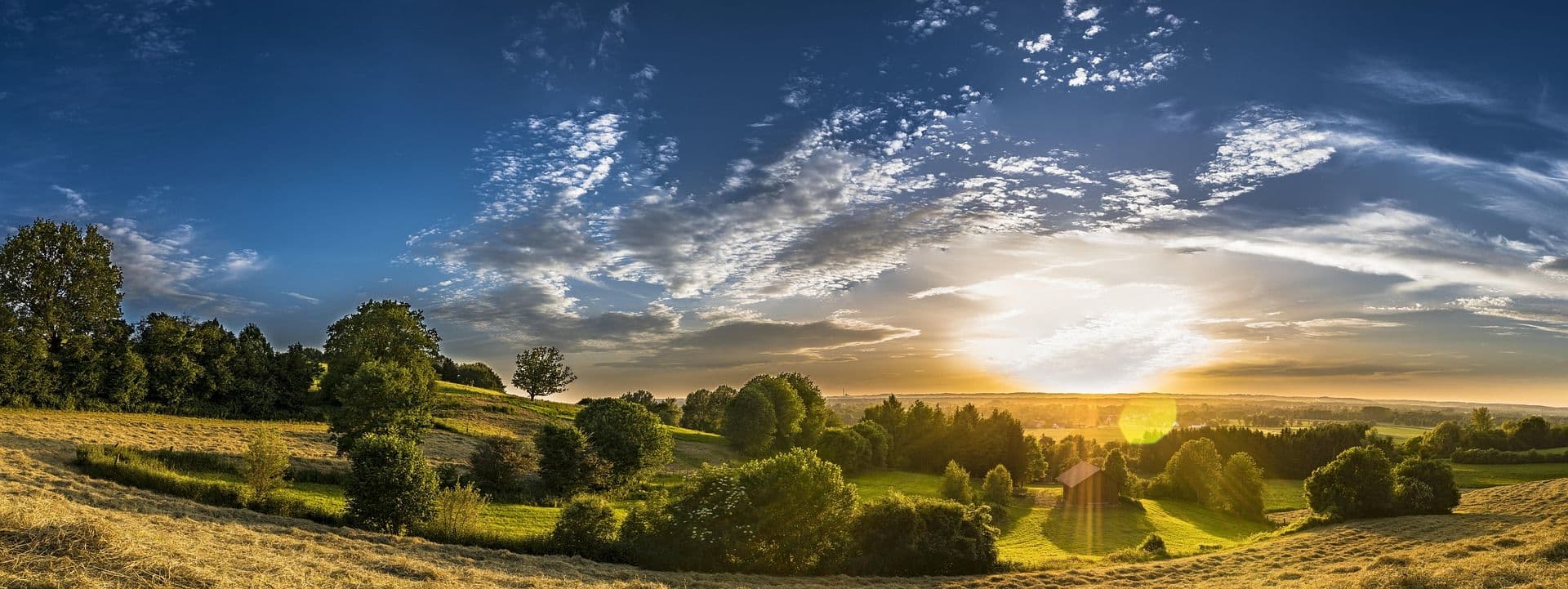 banner-image